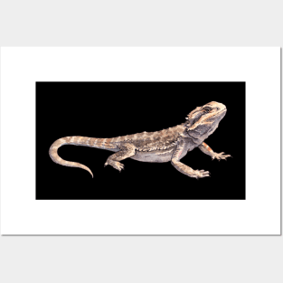 Pet bearded dragon - watercolor illustration Posters and Art